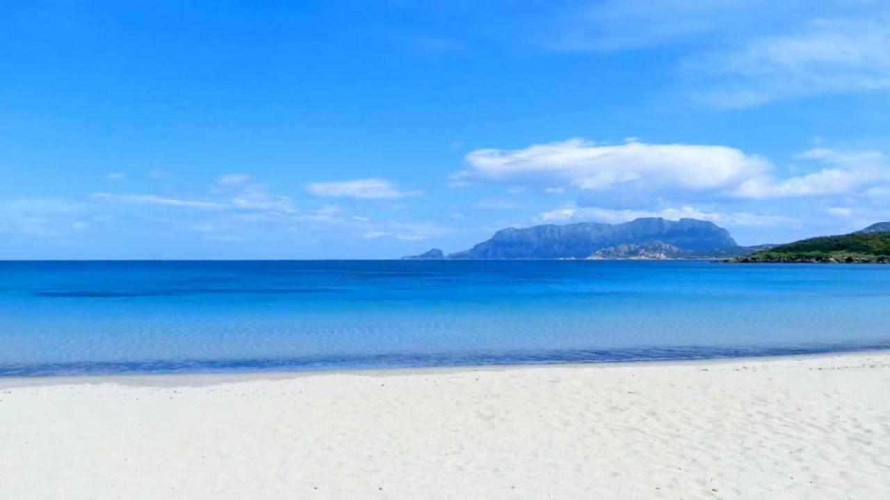 Hébergement de vacances Casa Gaia Boutique Con Vista Mare In Sardegna Olbia
